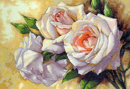 Roses blanches de TM Dimensions