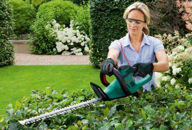 The best brushcutters according to user reviews