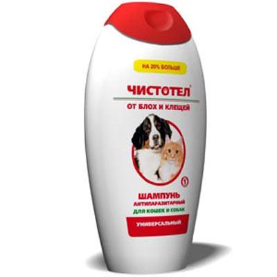 Le meilleur shampooing anti-puces et tiques pour chats