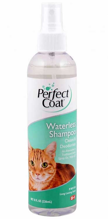 Spray shampooing pour chats