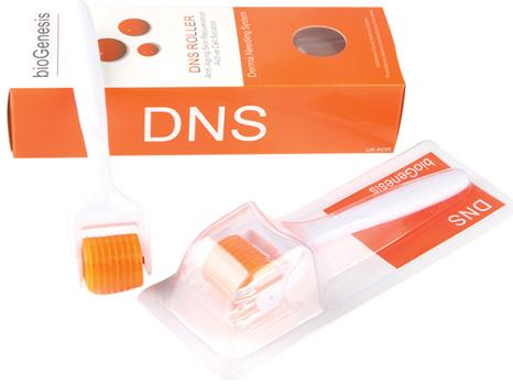 الرول DNS