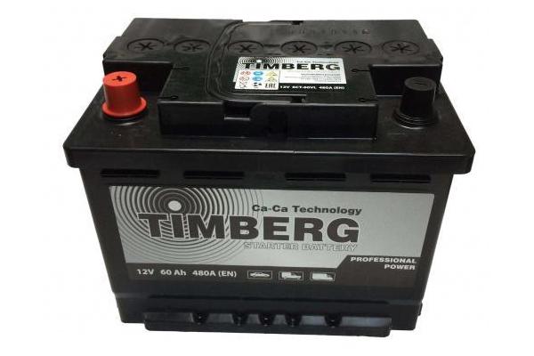 Timberg Professional Power 60 A / h 480 A
